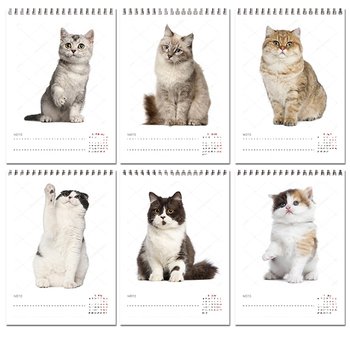 32K桌曆-2024幼貓快速模板推薦-三角桌曆套版少量印刷禮贈品客製化_3