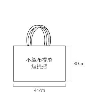 廣告行銷客製化-不織布環保袋-41x30cm-單面彩色印刷_1