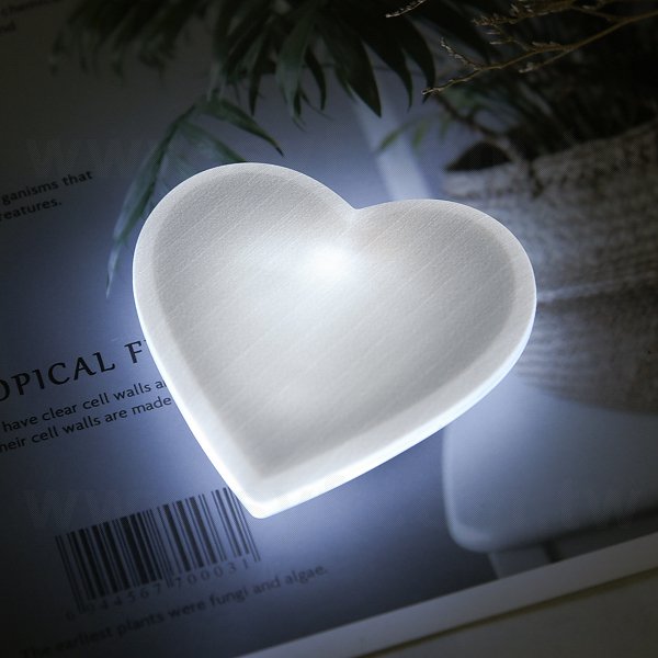 LED塑膠發光心形胸章_5