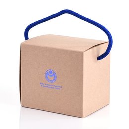 紙盒-掀蓋式經濟牛卡-雙面燙金印刷-可客製化印製LOGO