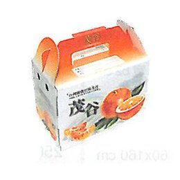 手提水果禮盒-A款30x18x21.5cm-客製化紙箱印刷