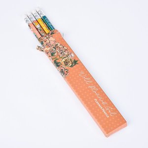 塑料自動鉛筆