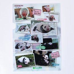 A4單層L夾-全白墨PP材質彩色印刷-180um-企業機關-台北市立動物園(同39AA-0003)