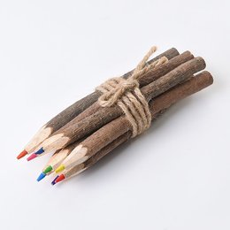 8色樹枝色鉛筆-木筆製作