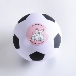 壓力球-減壓球/足球造型發洩球-作品參考-彰化動物防疫所
